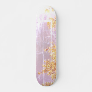 SKATEBOARD ESTILO Y DISEÑO DE PATINAJE