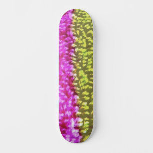 SKATEBOARD ESTILO Y DISEÑO DE PATINAJE