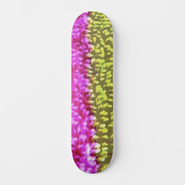SKATEBOARD ESTILO Y DISEÑO DE PATINAJE (Anverso)