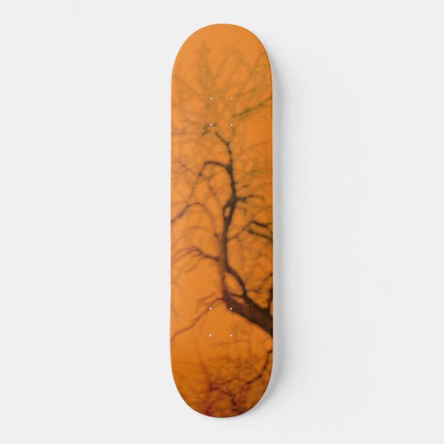 SKATEBOARD ESTILO Y DISEÑO DE PATINAJE (Anverso)