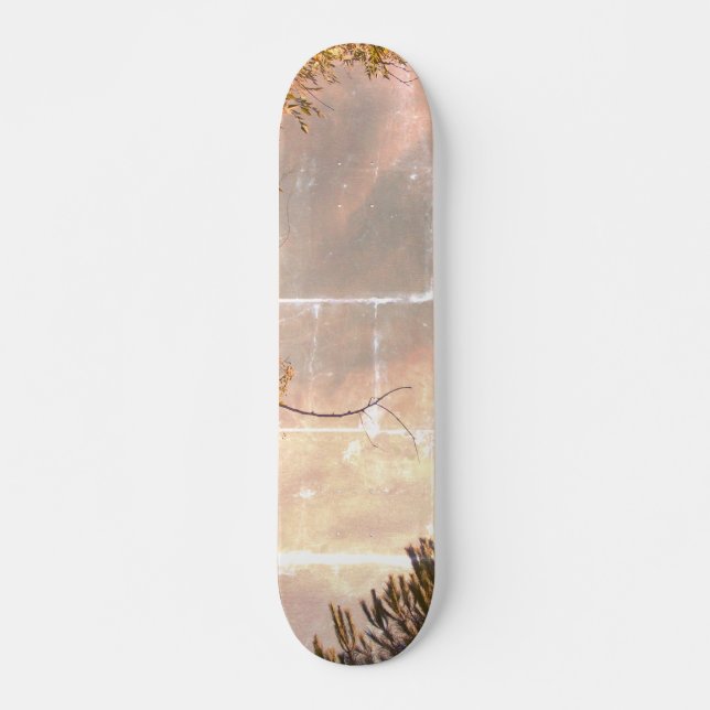 SKATEBOARD ESTILO Y DISEÑO DE PATINAJE (Anverso )