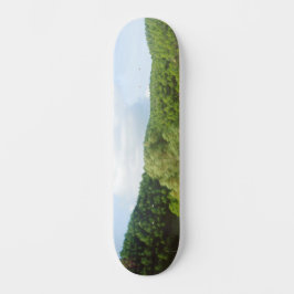 SKATEBOARD ESTILO Y DISEÑO DE PATINAJE