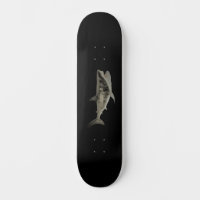 ESTILO Y DISEÑO DE PATINAJE
