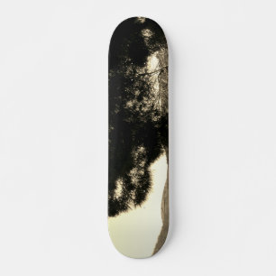 SKATEBOARD ESTILO Y DISEÑO DE PATINAJE