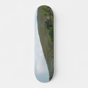 SKATEBOARD ESTILO Y DISEÑO DE PATINAJE