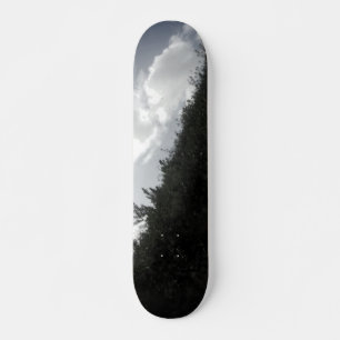 SKATEBOARD ESTILO Y DISEÑO DE PATINAJE