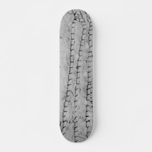 SKATEBOARD ESTILO Y DISEÑO DE PATINAJE