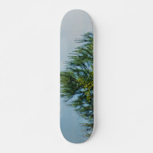 SKATEBOARD ESTILO Y DISEÑO DE PATINAJE