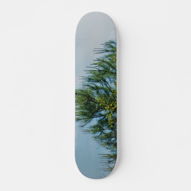 SKATEBOARD ESTILO Y DISEÑO DE PATINAJE (Anverso )