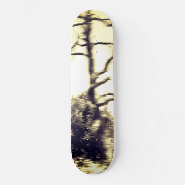 SKATEBOARD ESTILO Y DISEÑO DE PATINAJE (Anverso)