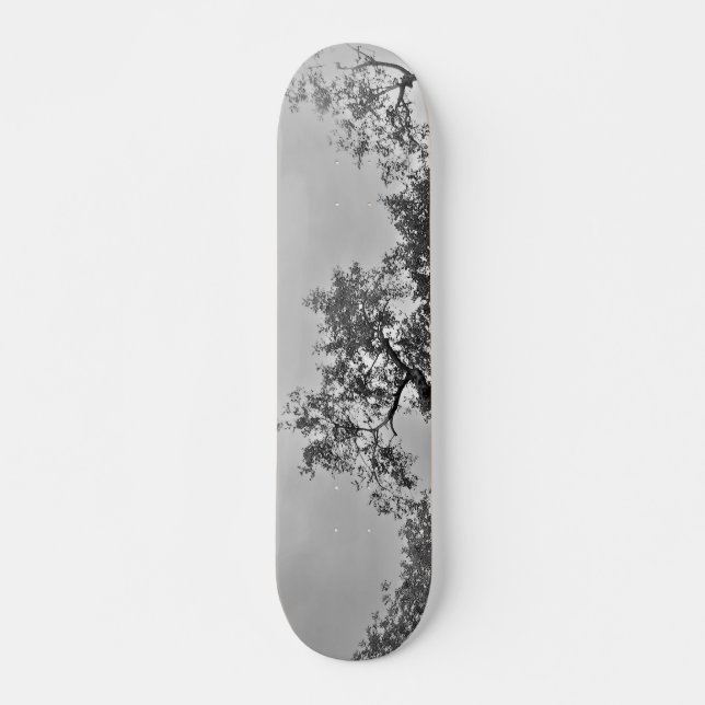 SKATEBOARD ESTILO Y DISEÑO DE PATINAJE (Anverso )