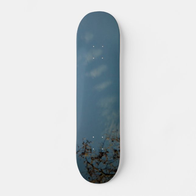 SKATEBOARD ESTILO Y DISEÑO DE PATINAJE (Anverso)