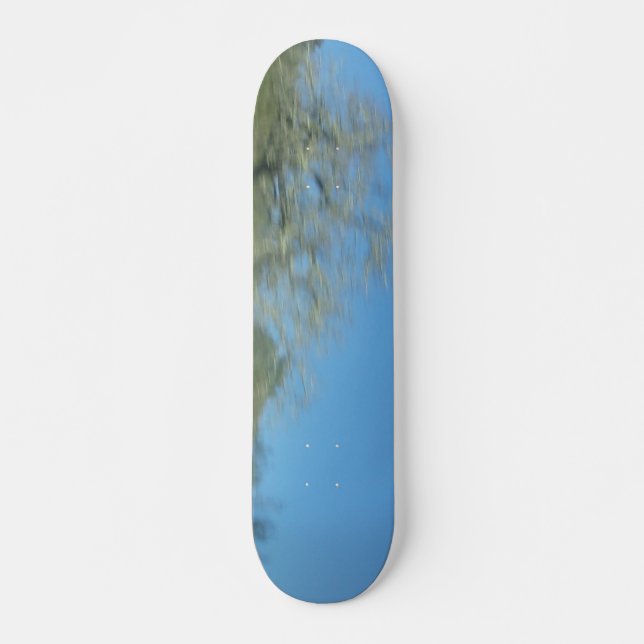 Skateboard Estilo y diseño del tablero (Anverso )