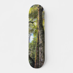 Skateboard Eucaliptus Gum Trees de la selva tropical australi