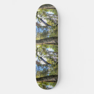 Skateboard Eucaliptus Gum Trees de la selva tropical australi