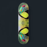 Skateboard Exótico pájaro trópico toco tucán - pintura<br><div class="desc">Exótico Pájaro Toco Tropical Toco Toucan - Pintando color de agua mezclado Hermoso colorido</div>
