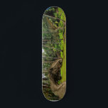 Skateboard Fantasía T-Rex Tyrannosaurus Dragon<br><div class="desc">Este diseño se puede personalizar eligiendo la opción personalizar para añadir texto o realizar otros cambios. Si este producto tiene la opción de transferir el diseño a otro artículo, asegúrese de ajustar el diseño para que se ajuste si es necesario. Contáctame en colorflowcreations@gmail.com si deseas tener este diseño en otro...</div>