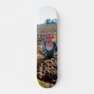 Skateboard Farm Gnome