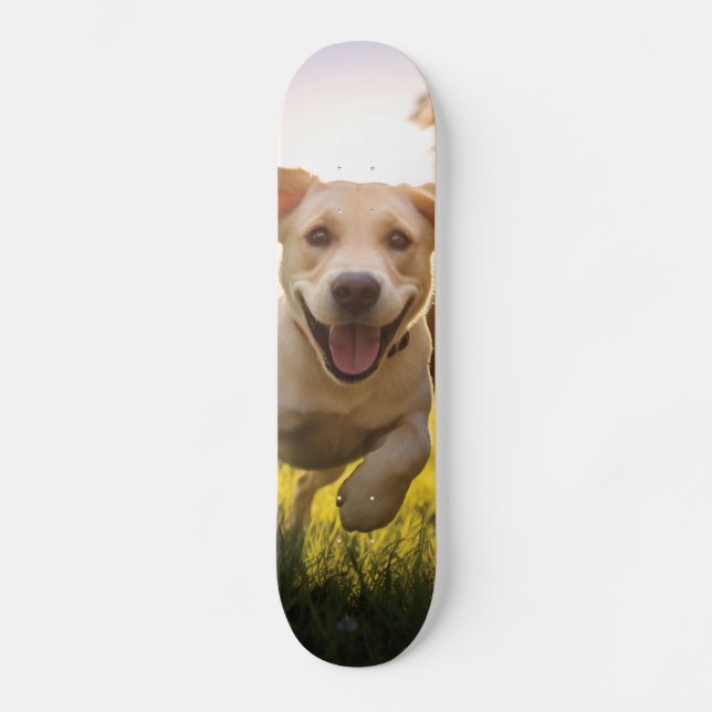 Skateboard Felíz Labrador Corriendo (Anverso)