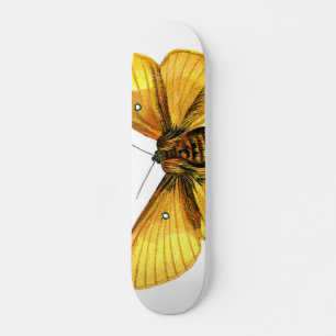 Skateboard Femenino de Bombyx