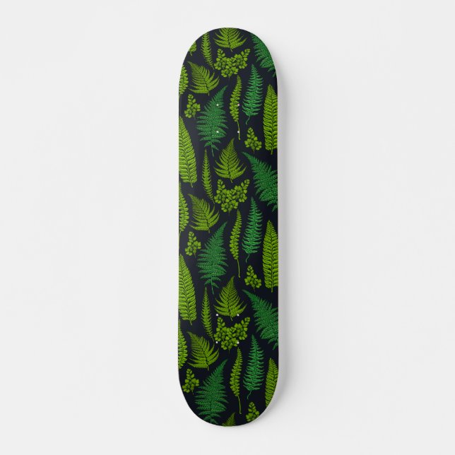 Skateboard Ferns (Anverso )