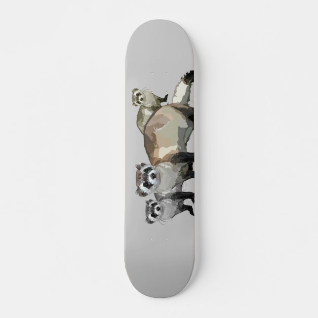 Skateboard Ferrets (Anverso )