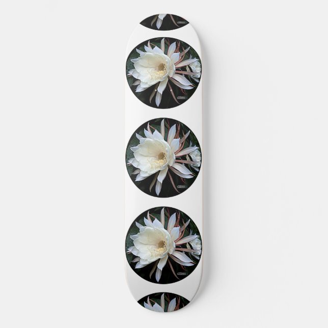 Skateboard Flor de Cactus Epífita (Anverso)