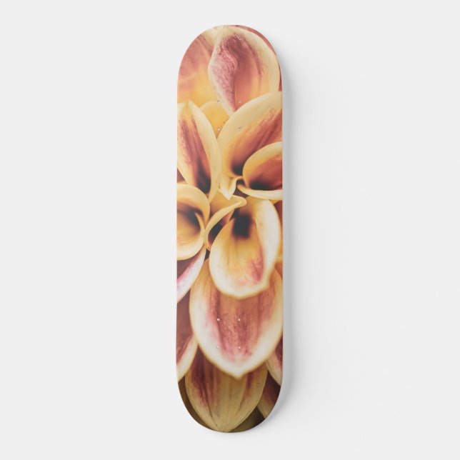 Skateboard Flor de Dahlia en verano asombrosa (arte floral) (Anverso)