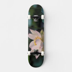 Skateboard Flor de loto en flor, China