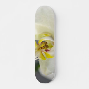 Skateboard Flor de orquídea blanca