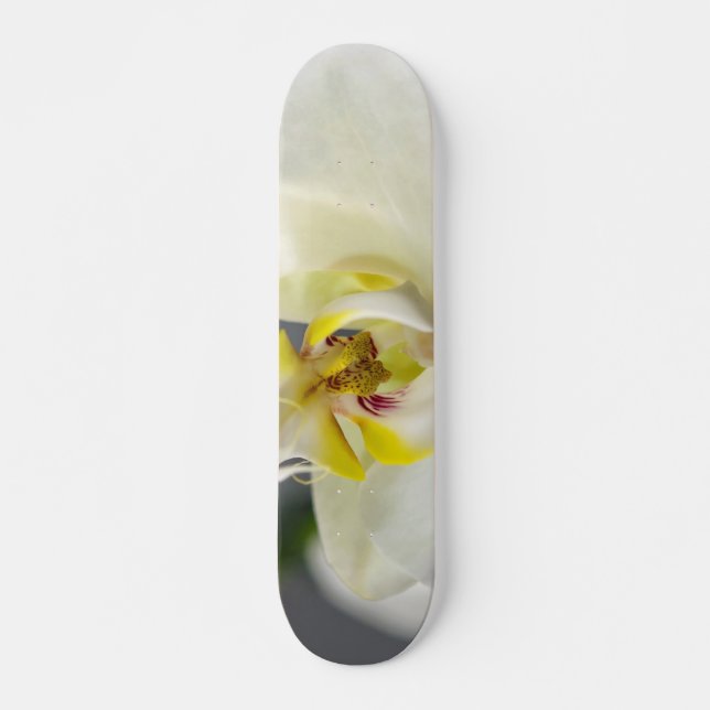 Skateboard Flor de orquídea blanca (Anverso )