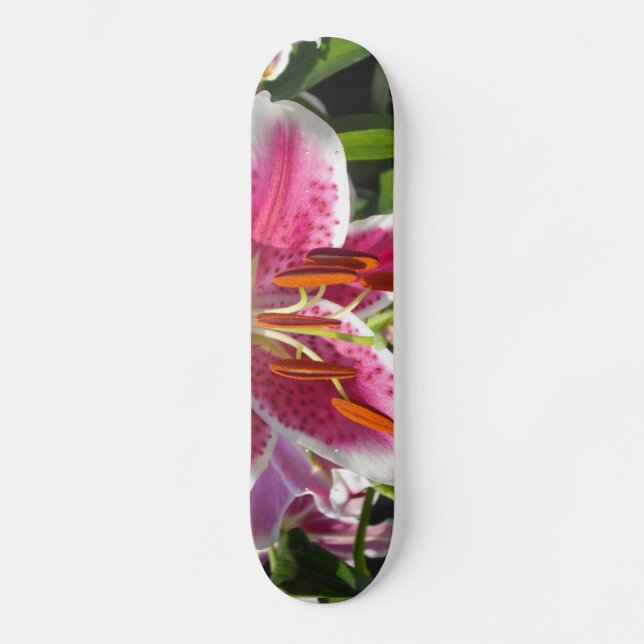 Skateboard Flor rosa de lirio rosa rosa flor rosa (Anverso)