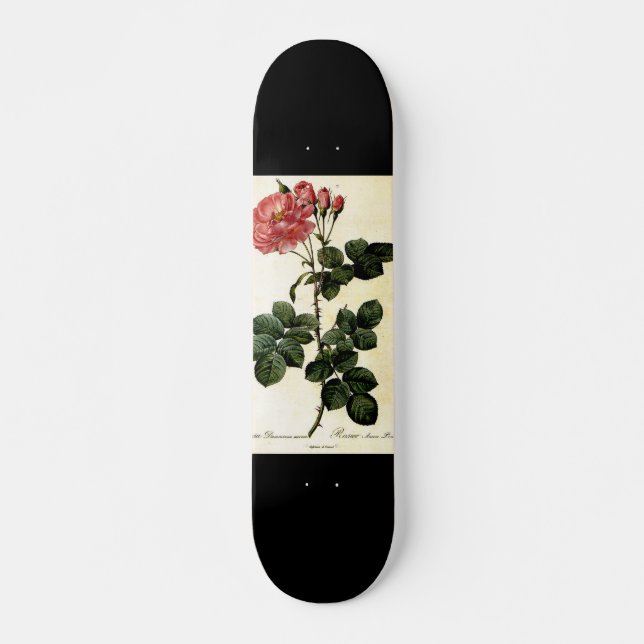Skateboard Flor Rosa, Pierre Joseph Redouté (Anverso )