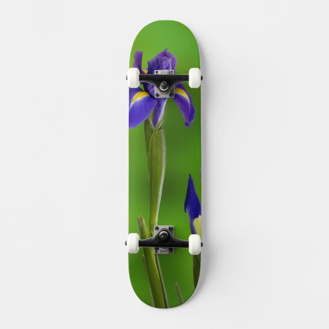 Skateboard Flores de iris (Anverso)