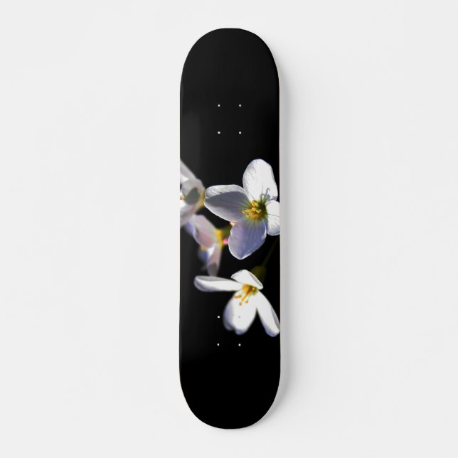 Skateboard Flores de pratensis de cardamina sdcnm (Anverso )