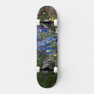 Skateboard Flores de primavera a lo largo de un camino de jar