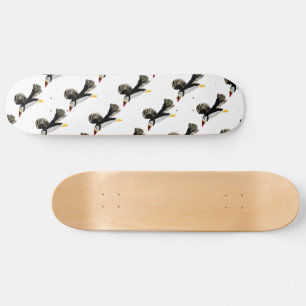 Skateboard Flying Puffin Art