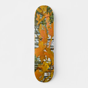 Skateboard Foliage de arce de otoño