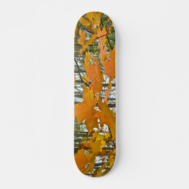 Skateboard Foliage de arce de otoño (Anverso )