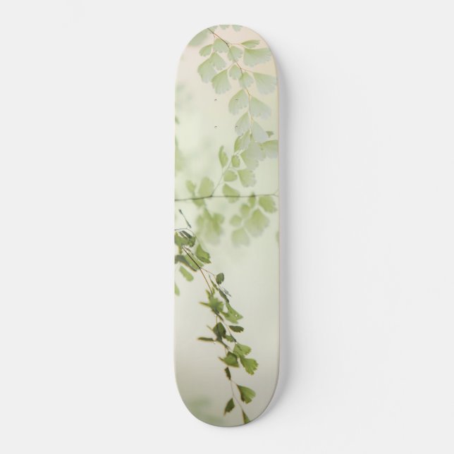 Skateboard Foliage de primavera (Anverso)