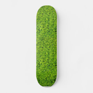 Skateboard Fondo de pared de hiedra