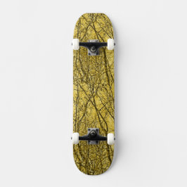Skateboard Forest Aglow