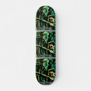 SKATEBOARD FREEWAYS VACÍAS IV