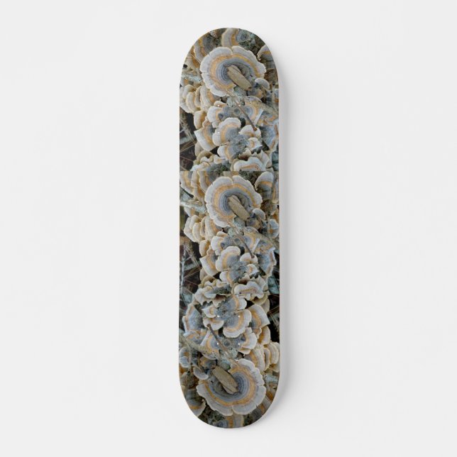 Skateboard Fungus Blue Shelf (Anverso )