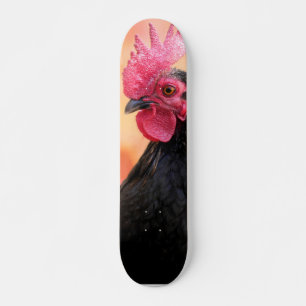Skateboard Gallo