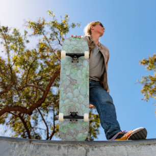 Skateboard Gallos Y Pollitos