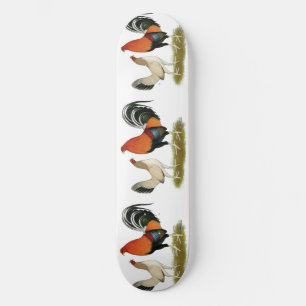 Skateboard Gamefowl Wheatens