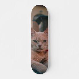 Skateboard Gato atigrado naranja con seria actitud