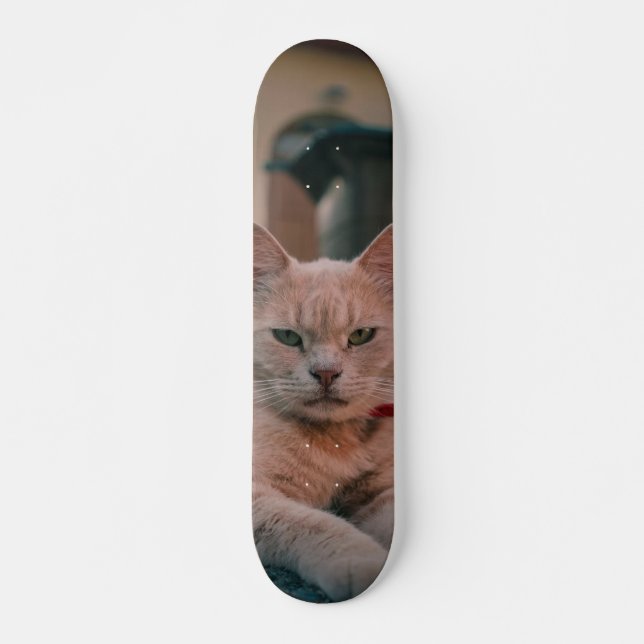 Skateboard Gato atigrado naranja con seria actitud (Anverso )