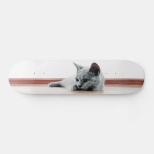 Skateboard Gato de gatito de gatito de peluche